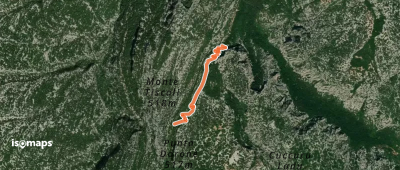 OSM Route 16067802
