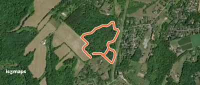 Pine Loop