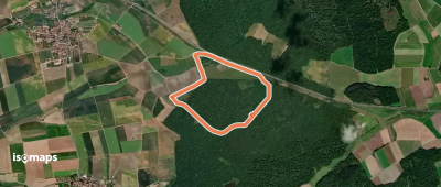 Hutewaldweg Hellmitzheim