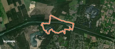 De schat van Koning Leeuw (kleuterwandeling)
