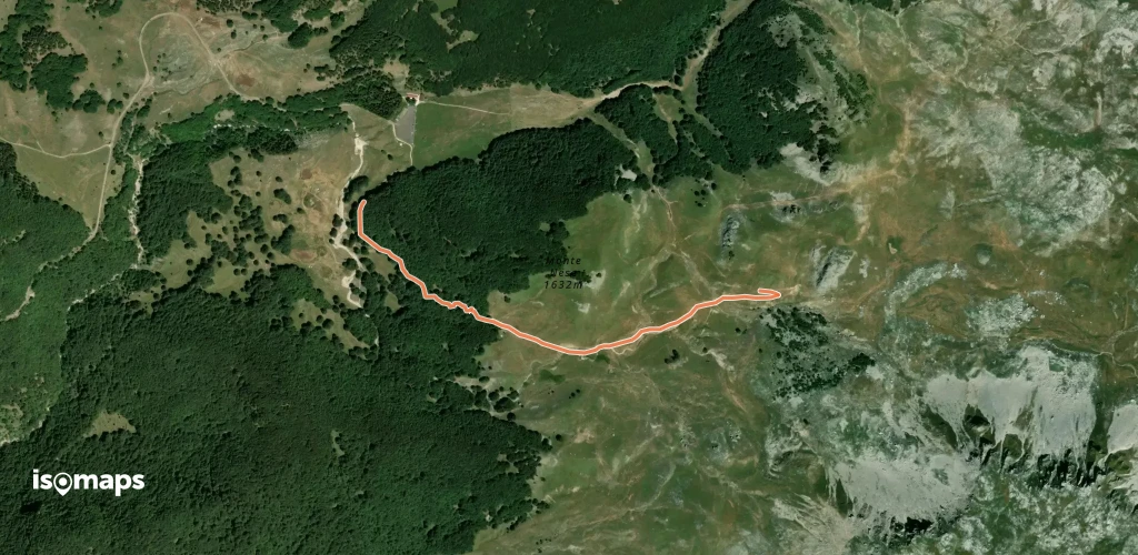 Selva Piana - Forestelle Aperto
