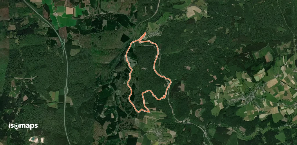 29. Vieux Moulin (chemin en forêt)