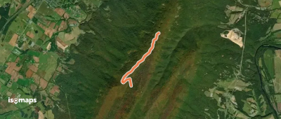 Bird Knob Trail
