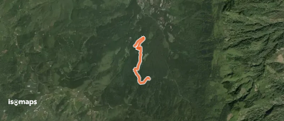 溪頭森林浴步道