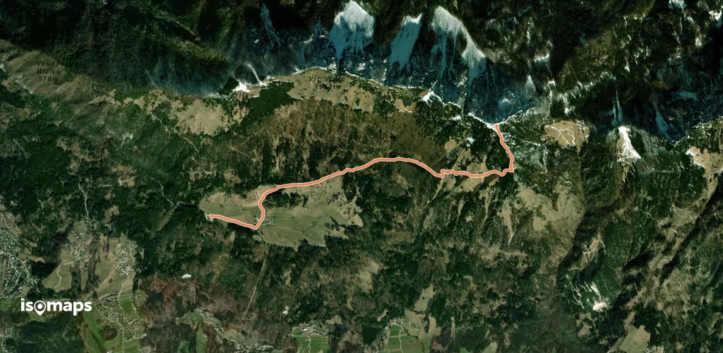 Gozd - Ježa - Tolsti vrh