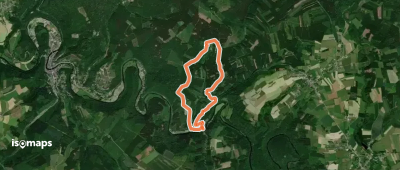 3. Borzée