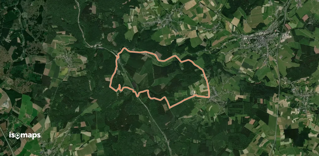 14. Bois du Val de Poix