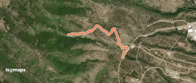 Nail Trail
