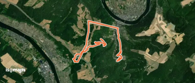 Moselsteig Seitensprung: Moseltalschanzen