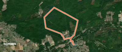 En forêt domaniale