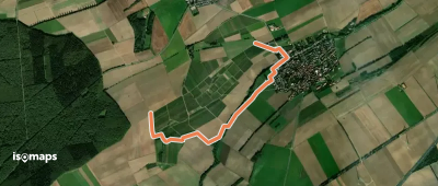 Mauchenheim