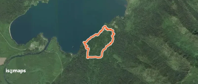 Quinault Loop Trail
