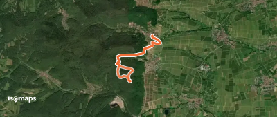 Rundwanderweg Leinsweiler 8