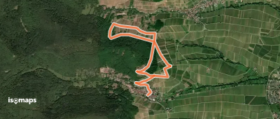 Rundwanderweg Leinsweiler 6
