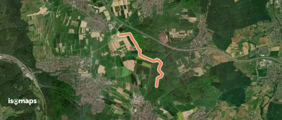 Oberer Steinig - Rappenbusch