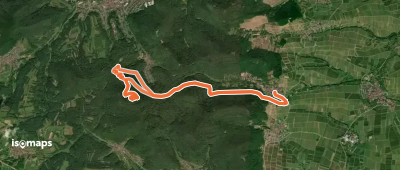 Rundwanderweg Leinsweiler 4