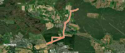 blauer Punkt Lienzingen