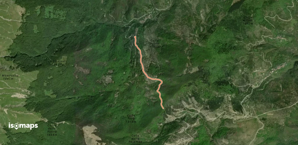 OSM Route 16819118