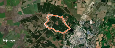 Frøslev Plantage - gul rute