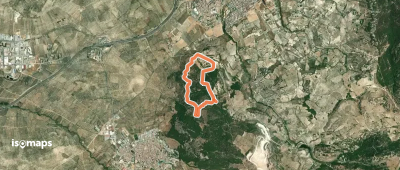 Cerro Miguelico