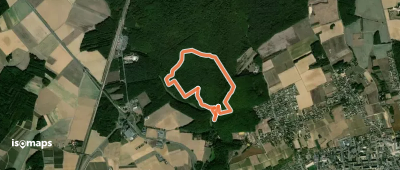 Le bois de l'Oratoire