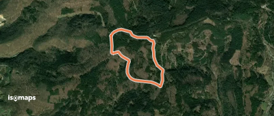 Rundwanderweg Dossenheim Weißer Stein 8: Rauhe-Buch-Weg
