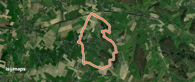 Warsage 1: D'un bois à l'autre