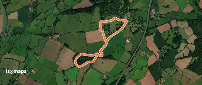 Danes Wood Walk, Killerton