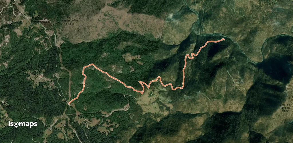 OSM Route 17179390
