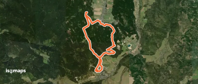 Viola-Bauer-Tour