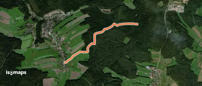 Würzbach Oberdorf - Große Streuwald Kiefer