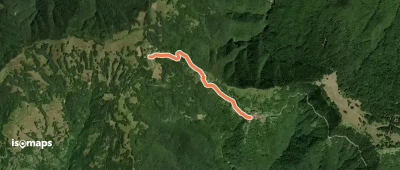 OSM Route 17206575