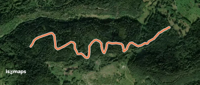 Käferplatte - Schwannwald