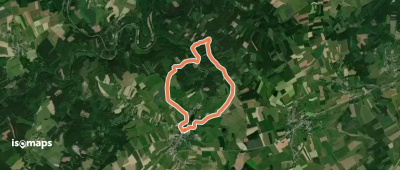 Bois de Bertogne