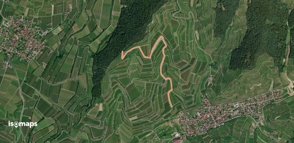 Mondhalde Geißensee - Leh