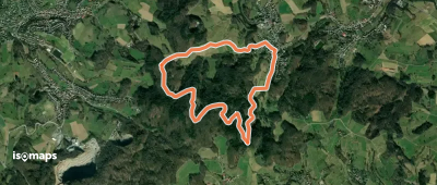 Rundwanderweg Wald-Erlenbach 3