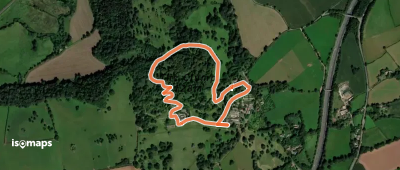 Ancient Trees Walk, Killerton