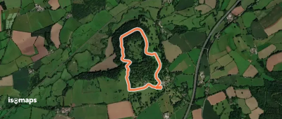 Killerton Dog Walk, Killerton