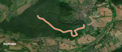 Grünes X