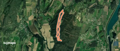 Écureuil