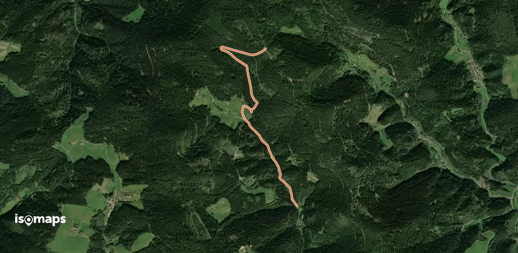 Salzlecke - Heubach Auerhahn