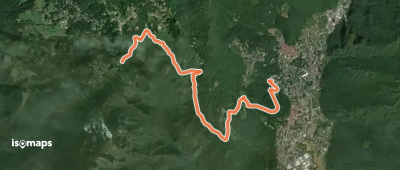 OSM Route 19950335
