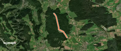 Feurenmoos Hülsenwald - Herrenwald