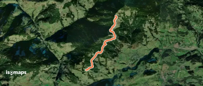 Meiselsteinalm-Gamskögerl