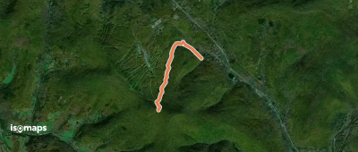 Cathedral Glen Trail