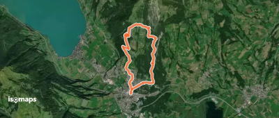 Goldauer Bergsturzspur