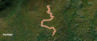 Mount Guardian Trail