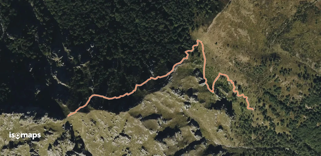 OSM Route 19995594
