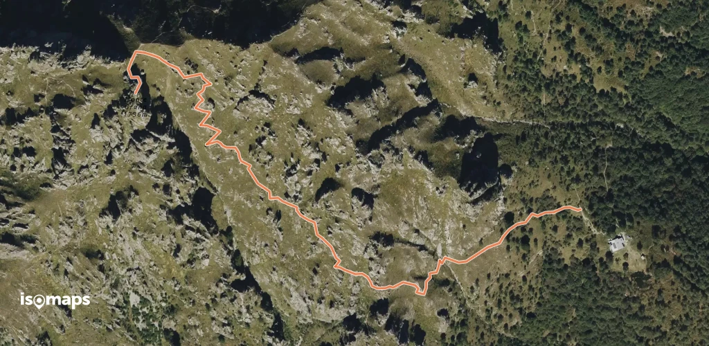 OSM Route 19995953