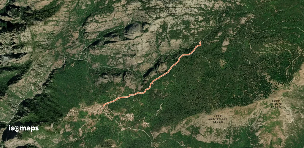 Chemin des Châtaigners